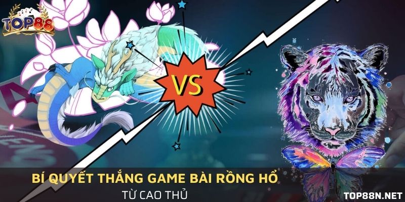 Hướng dẫn người mới cách đặt Rồng hổ chuẩn xác nhất Bí kíp chơi bài thắng lớn từ cao thủ