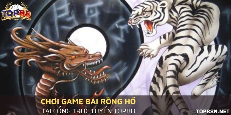Hướng dẫn người mới cách đặt Rồng hổ chuẩn xác nhất Lý do nên chơi Rồng hổ ở Top88