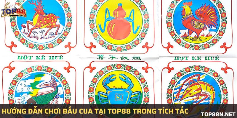 Hướng dẫn chơi bầu cua tại Top88 trong tích tắc Hướng dẫn chơi bầu cua tại Top88 trong tích tắc